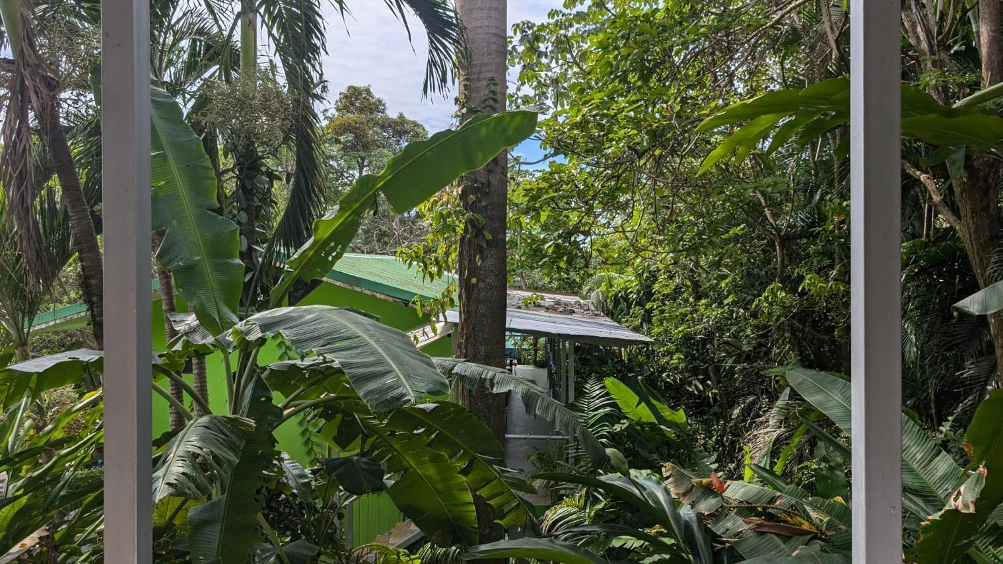 Peace Of Paradise Nationalpark Nationalpark Manuel Antonio Exterior foto